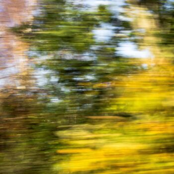 Photography titled "IMG_0556" by Adélie Perrin, Original Artwork, Paper