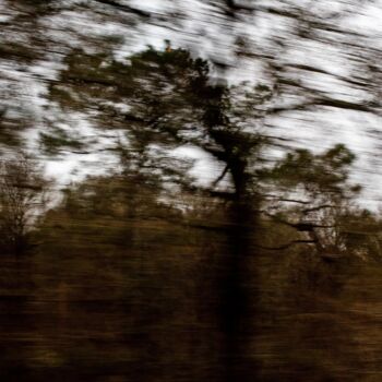 Photography titled "###8" by Adélie Perrin, Original Artwork, Paper
