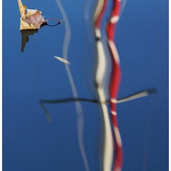 Photographie intitulée "Reflets marins Norm…" par Daniel Gautier, Œuvre d'art originale, Aluminium