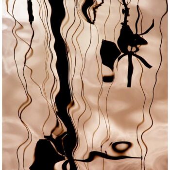 Photography titled "Reflets marins Norm…" by Daniel Gautier, Original Artwork, Aluminium