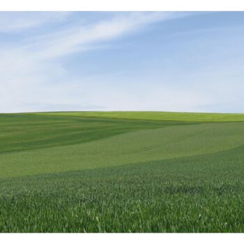 Photographie intitulée "EN BOURGOGNE" par Evelyne Chevallier, Œuvre d'art originale, Papier