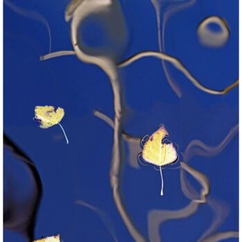 Photographie intitulée "Reflets 500 PPM   "…" par Daniel Gautier, Œuvre d'art originale, Aluminium
