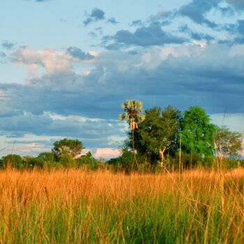 Photography titled "Botswana  Delta de…" by Christian Ebel, Original Artwork, Analog photography