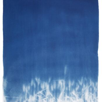 Photography titled "live print field n°…" by Eva-Maria Raab, Original Artwork, Analog photography