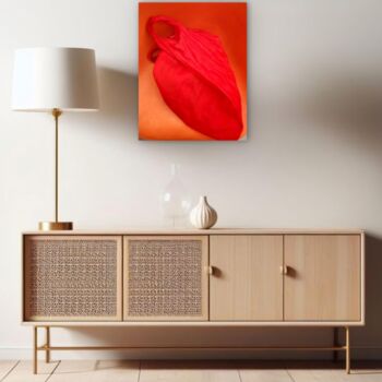 Photography titled "Le sac rouge" by Jean Robert Franco, Original Artwork, Analog Print
