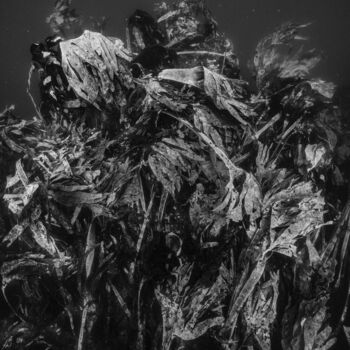 Photography titled "Paysages productifs…" by Nicolas Floc'H, Original Artwork, Digital Print