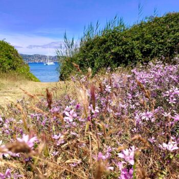 Photography titled "" POINTE DE SARDINA…" by Christian Lefevre, Original Artwork, Digital Print