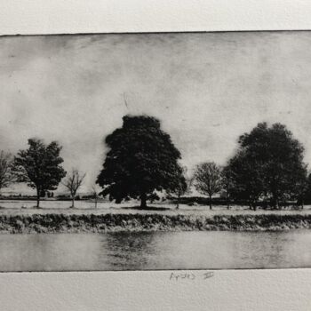 Printmaking titled "Arbres III" by Daniel Nassoy, Original Artwork, Engraving