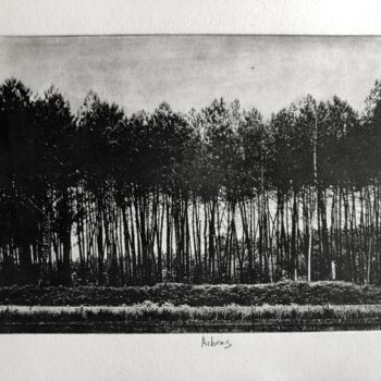 Printmaking titled "Arbres IV" by Daniel Nassoy, Original Artwork, Engraving