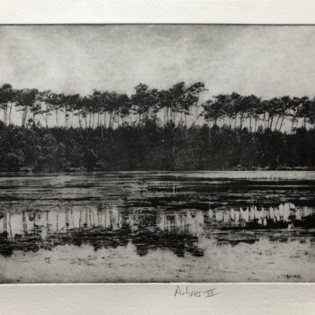 Printmaking titled "Arbres VII" by Daniel Nassoy, Original Artwork, Engraving