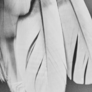 Photographie intitulée "Sans titre, Série C…" par Rosalie Parent, Œuvre d'art originale, Verre
