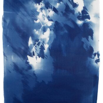 Photography titled "live print vineyard…" by Eva-Maria Raab, Original Artwork, Analog photography