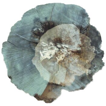 Digital Arts titled "Murmure de géant #02" by Corinne Bresson, Original Artwork, Digital Print