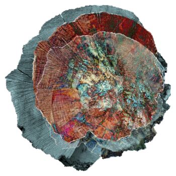 Digital Arts titled "Murmures de géant #…" by Corinne Bresson, Original Artwork, Ink