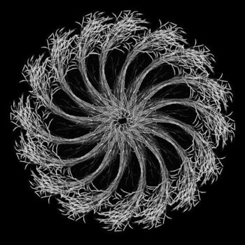 Digital Arts titled "crea-nature-morte-7" by Daniel Nassoy, Original Artwork, Paper