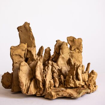 Sculpture titled "Chaos de loess" by Dominique Ganiage, Original Artwork, Clay