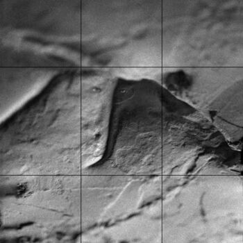 Photography titled "Huèls" by Leah Desmousseaux, Original Artwork, Paper