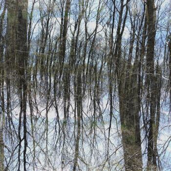 Photography titled "Dreesens-Theorem-10…" by Richard Dreesens, Original Artwork, Digital Print Mounted on Other rigid panel