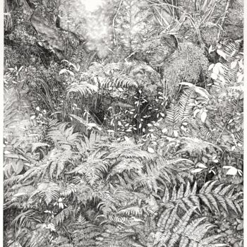 Drawing titled "URWALD VON MORGEN" by Emmanuel Henninger, Original Artwork, Paper