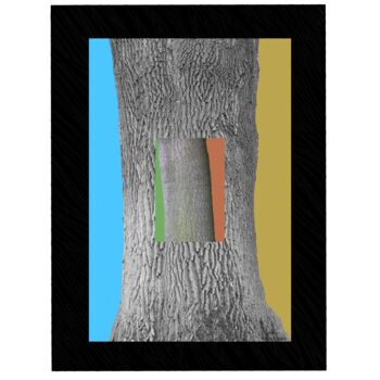 "Au coeur de l'arbre…" başlıklı Resim Jean Kauffmann tarafından, Orijinal sanat, Kâğıt