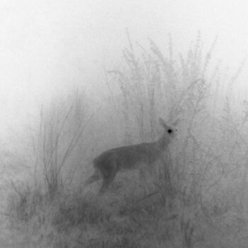 Photography titled "Futif 2# " by Nicolas Bralet, Original Artwork, Analog Print