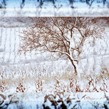 Fotografía titulada "Silence blanc" por Gilles Deschamps (OXPIRIT), Obra de arte original, Fotografía digital Montado en art…