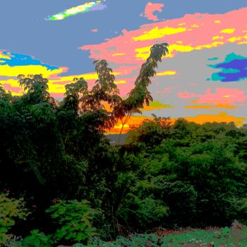 Arte digital titulada "Backyard At Sunset" por Lurline Halliman, Obra de arte original, Trabajo Digital 2D