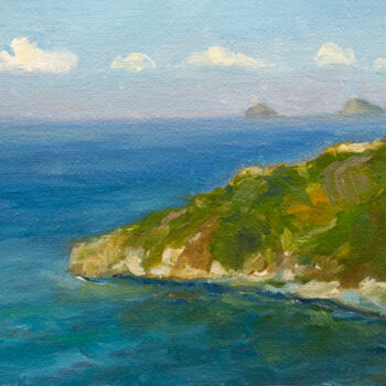 Malarstwo zatytułowany „Morning on the Coast” autorstwa Svetlana Lebedeva, Oryginalna praca, Olej