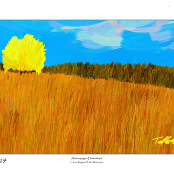 Painting titled ""Andropogon Downslo…" by Tad Anderson, Original Artwork, Digital Print