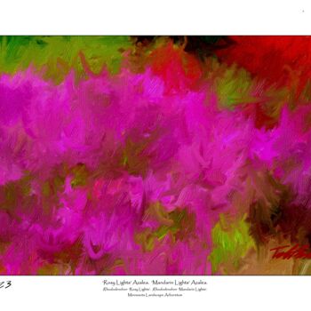 Painting titled "‘Rosy Lights’ Azale…" by Tad Anderson, Original Artwork, Digital Print