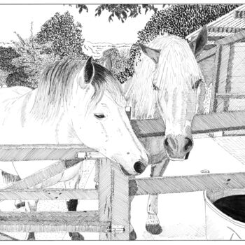 Drawing titled "Traits de chevaux" by Pascal Tavarner, Original Artwork, Ink