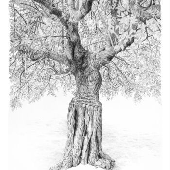 "Arbres 108" başlıklı Resim Frédéric Jammes tarafından, Orijinal sanat, Grafit