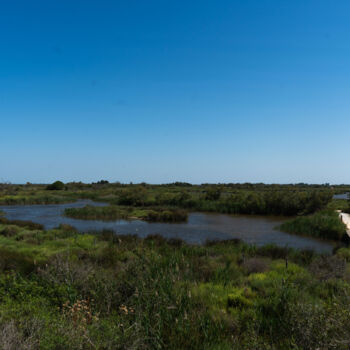 Fotografie getiteld "Photo paysage natur…" door Coralie Dauzats, Origineel Kunstwerk, Digitale fotografie