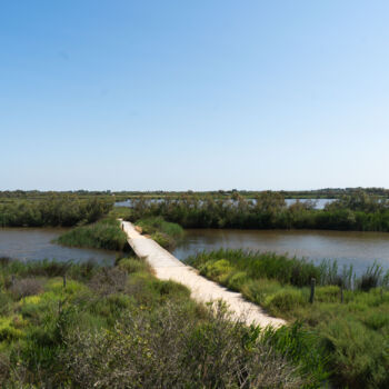 Fotografie getiteld "Photo  autre vue pa…" door Coralie Dauzats, Origineel Kunstwerk, Digitale fotografie