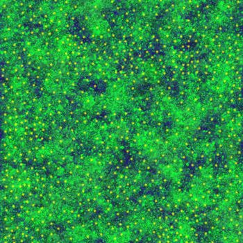 Digitale Kunst mit dem Titel "Parterre de verts" von Pascal Rissac, Original-Kunstwerk, Digitale Malerei