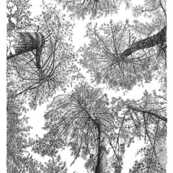 "Arbres 99" başlıklı Resim Frédéric Jammes tarafından, Orijinal sanat, Grafit