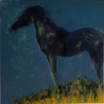 "Cavallo nero" başlıklı Tablo Claudio Marani tarafından, Orijinal sanat, Petrol Ahşap Sedye çerçevesi üzerine monte edilmiş