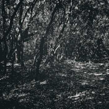 Fotografia intitolato "Puzzle déroutant, v…" da Antoine Leven, Opera d'arte originale, fotografia a pellicola