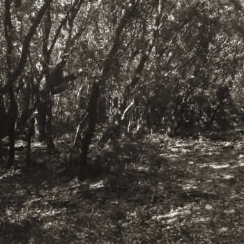 Fotografia intitolato "Puzzle déroutant, v…" da Antoine Leven, Opera d'arte originale, fotografia a pellicola