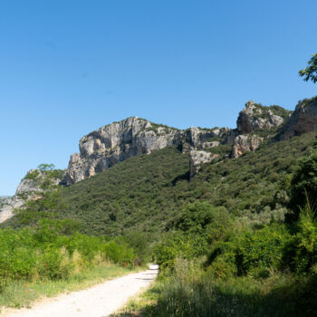 Fotografie getiteld "Photo sentier de mo…" door Coralie Dauzats, Origineel Kunstwerk, Digitale fotografie