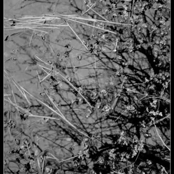 Photography titled "Inondation" by Frederic Hodiesne, Original Artwork, Digital Photography