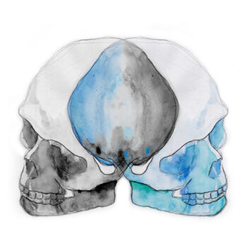 Drawing titled "Crane bleu Aquarell…" by Frederic Hodiesne, Original Artwork, Watercolor