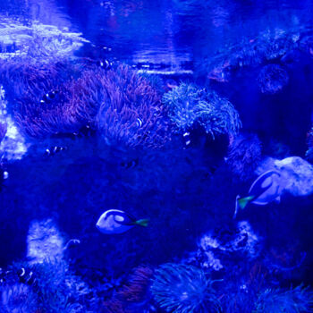 Fotografie getiteld "Photographiés à tra…" door Coralie Dauzats, Origineel Kunstwerk, Digitale fotografie