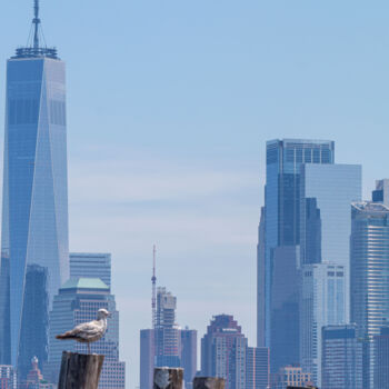 Photographie intitulée "Liberty Island" par Guilhem Nascimben, Œuvre d'art originale, Photographie numérique