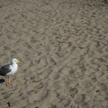 Fotografie getiteld "Regard vers l’horiz…" door Coralie Dauzats, Origineel Kunstwerk, Digitale fotografie