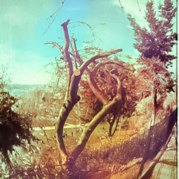 Εκτυπώσεις & Χαρακτικά με τίτλο "Landscape Touched b…" από Banu Muazzez Arpalı, Αυθεντικά έργα τέχνης, Ψηφιακή φωτογραφία