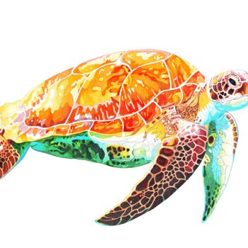 "Turtle" başlıklı Resim Dimitri Prévot tarafından, Orijinal sanat, Mürekkep