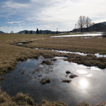 Фотография под названием "Spring in the Villa…" - Jani Recer, Подлинное произведение искусства, Цифровая фотография