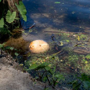 Fotografie getiteld "Citrouille Abstrait…" door Coralie Dauzats, Origineel Kunstwerk, Digitale fotografie