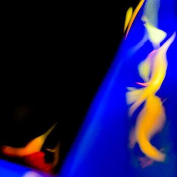 Photographie intitulée "2- Coeur d'artichau…" par Jana Call Me J, Œuvre d'art originale, Photographie non manipulée